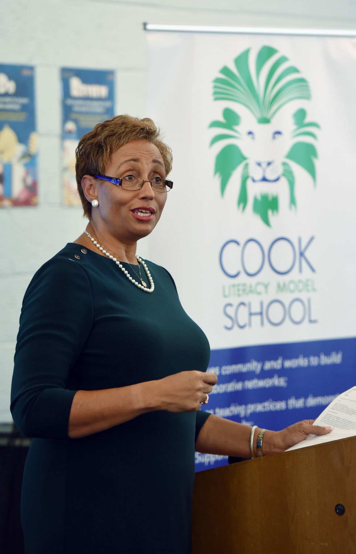 Cook School Test Scores